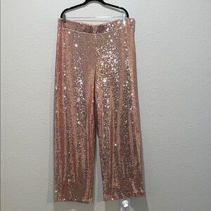 Torrid Champagne Sequin Pants